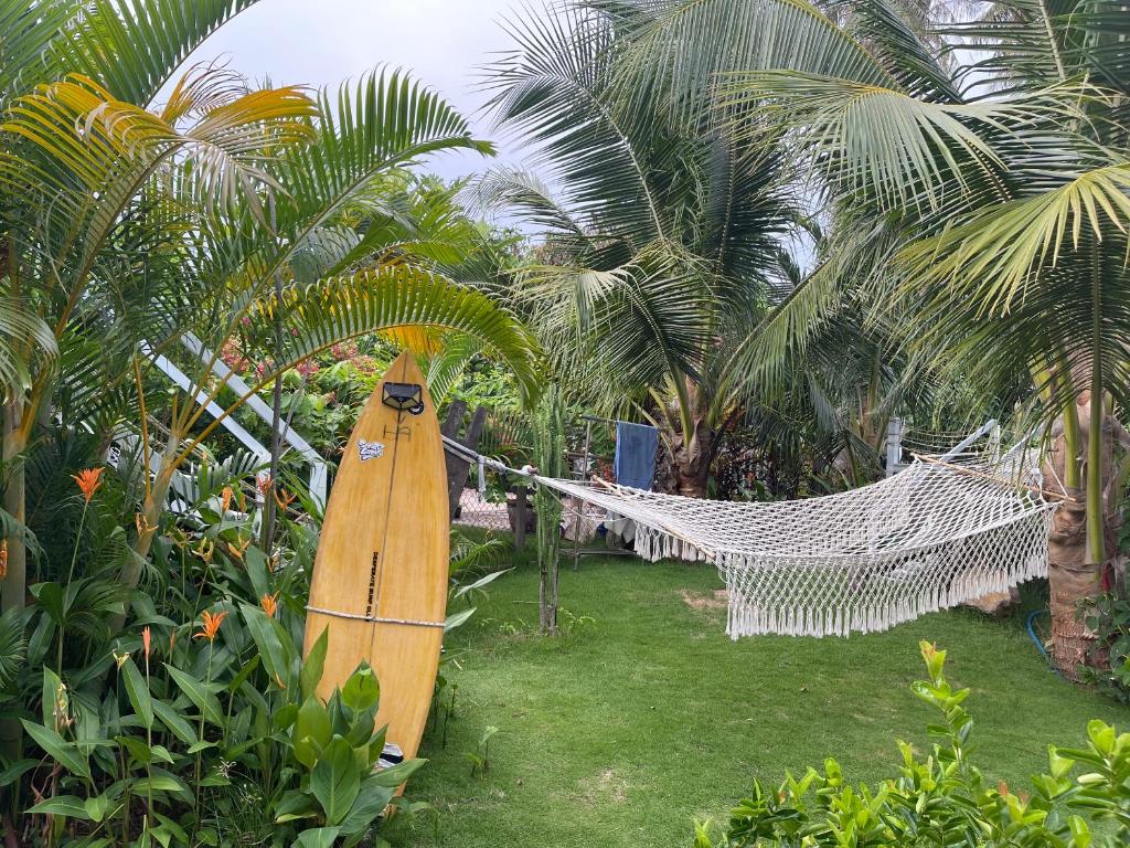 Vườn quanh BinhYen Homestay