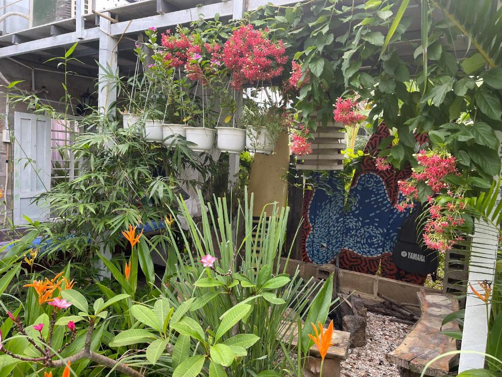 Vườn quanh BinhYen Homestay
