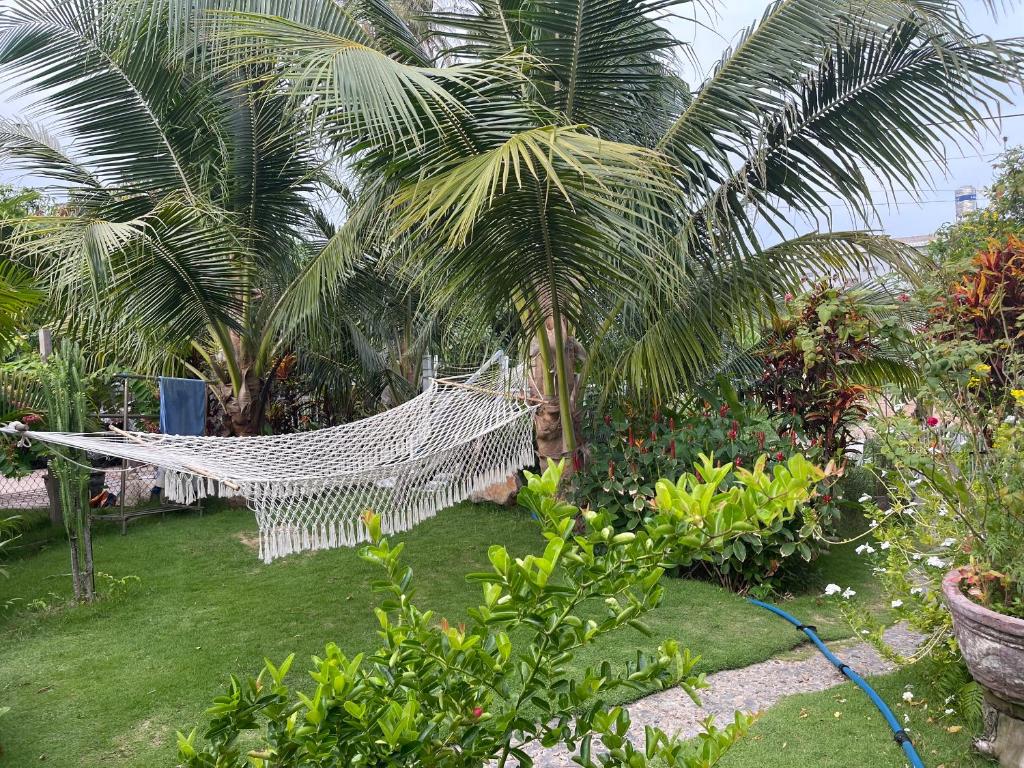 Vườn quanh BinhYen Homestay