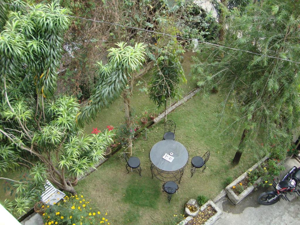 Κήπος έξω από το New Summit Guest House