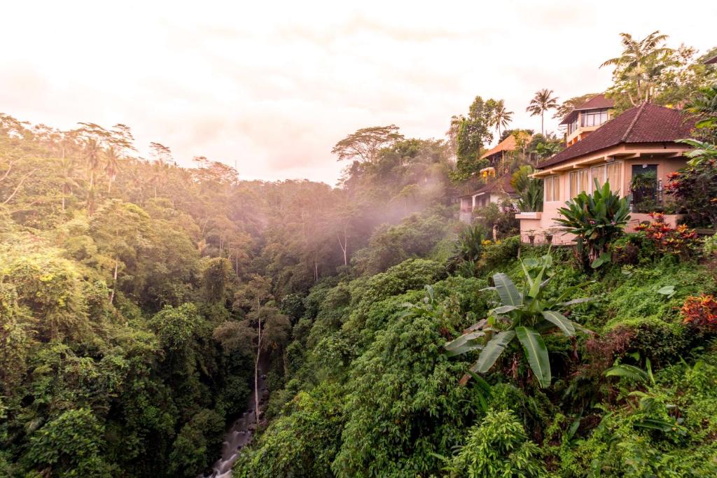 Una casa su una collina nella giungla di Tanah Merah Art Resort by AGATA ad Ubud
