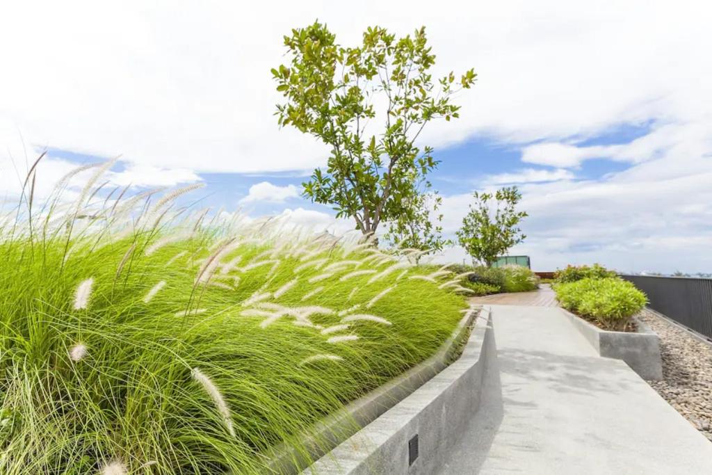 The Deck Patong by VIP - Resim 23