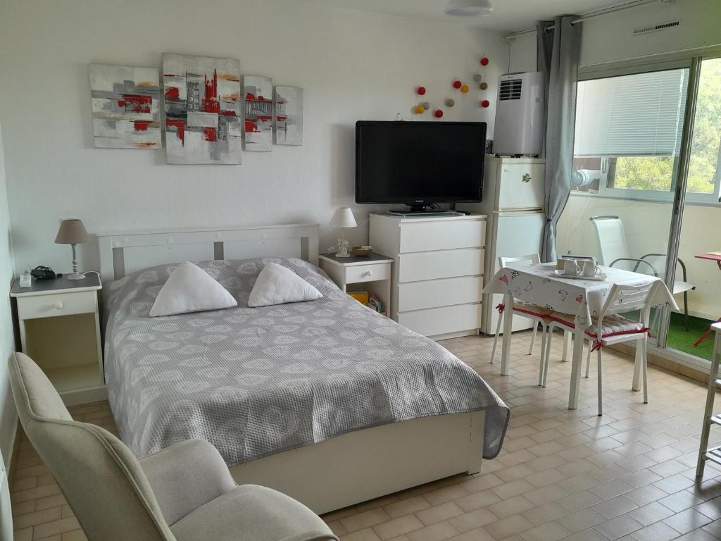 a bedroom with a bed and a desk and a television at STUDIO CONFORT ET LUMINEUX avec LOGGIA ET PARKING in Balaruc-les-Bains