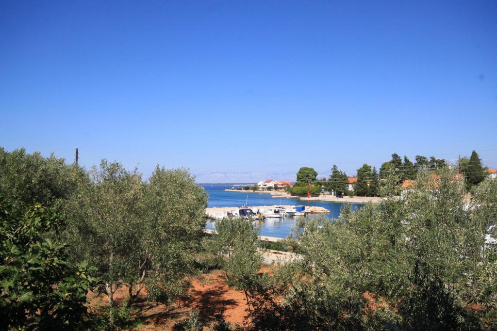 Príroda v okolí apartmánu