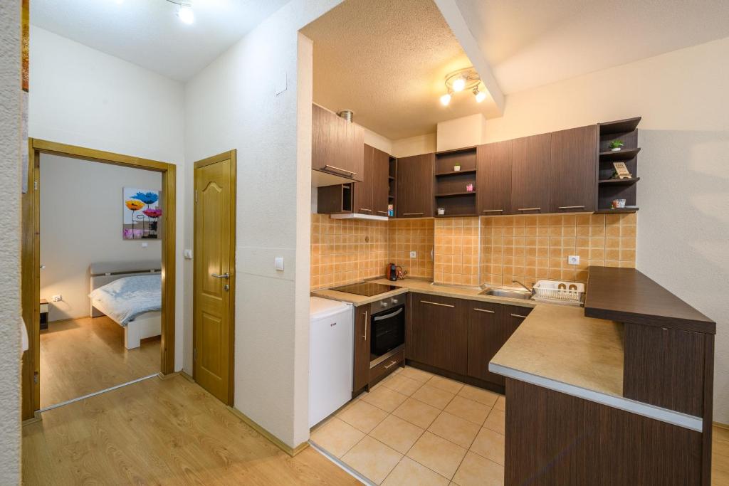 Kuchyň nebo kuchyňský kout v ubytování Lux Apartman D&N