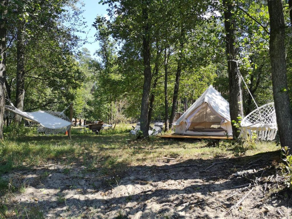 Příroda nedaleko luxury tent
