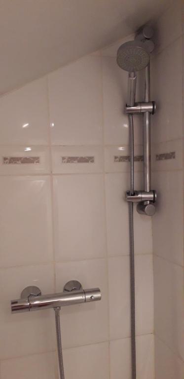 Koupelna v ubytování Chambre Aqualine