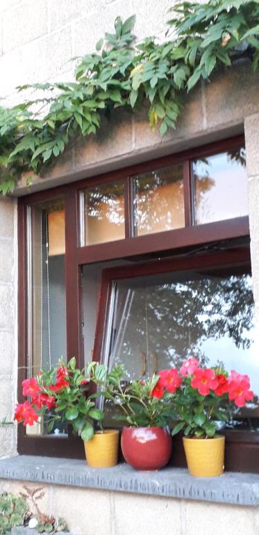 Zahrada ubytování Chambre Aqualine