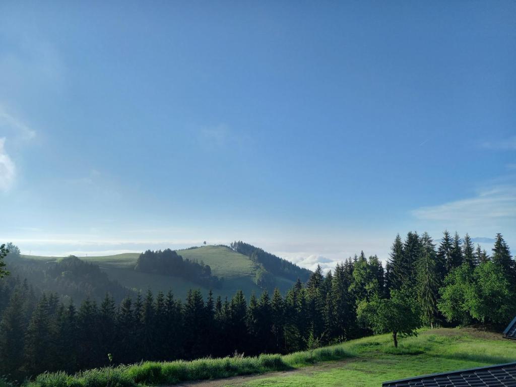 Příroda nedaleko chaty