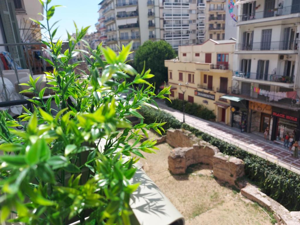 NAVA Apartment in the center with private parking of stayinthess photo