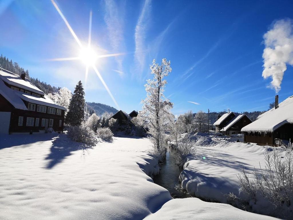 a snow covered village with the sun in the sky at B5 Albmatte-FEWO Sauna, Hallenbad Außenbecken Massagen nebenan in Menzenschwand-Hinterdorf