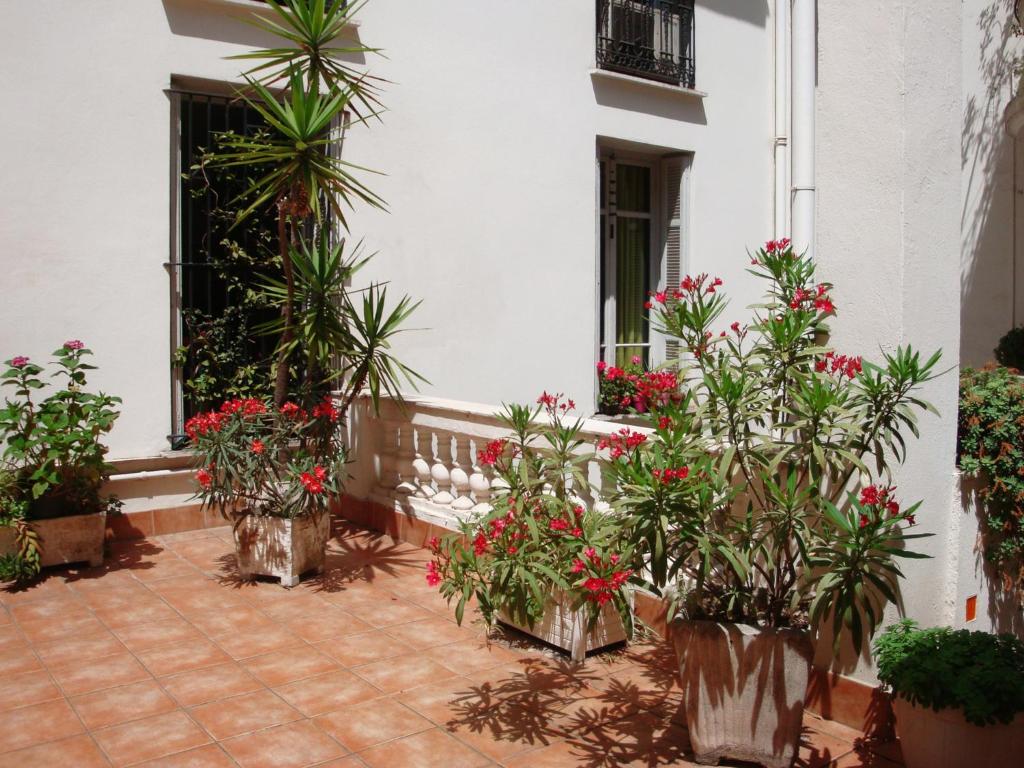 Zahrada ubytování Hotel Cronstadt