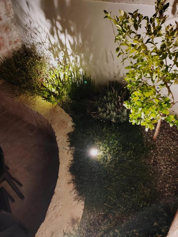 A garden outside I trulli di Nonno Battista