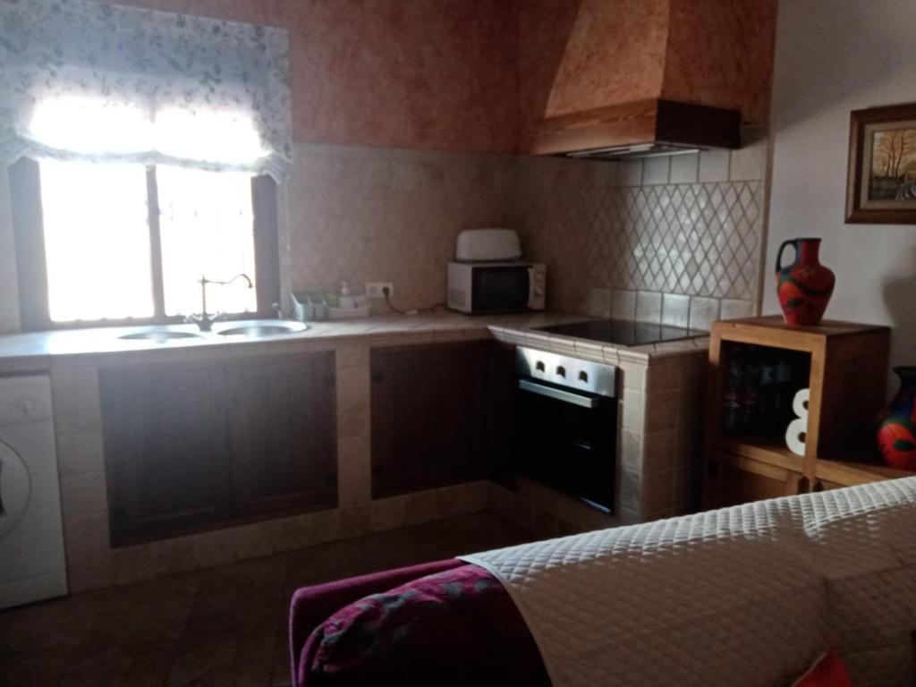 Kuchyň nebo kuchyňský kout v ubytování Casa Cueva Soledad