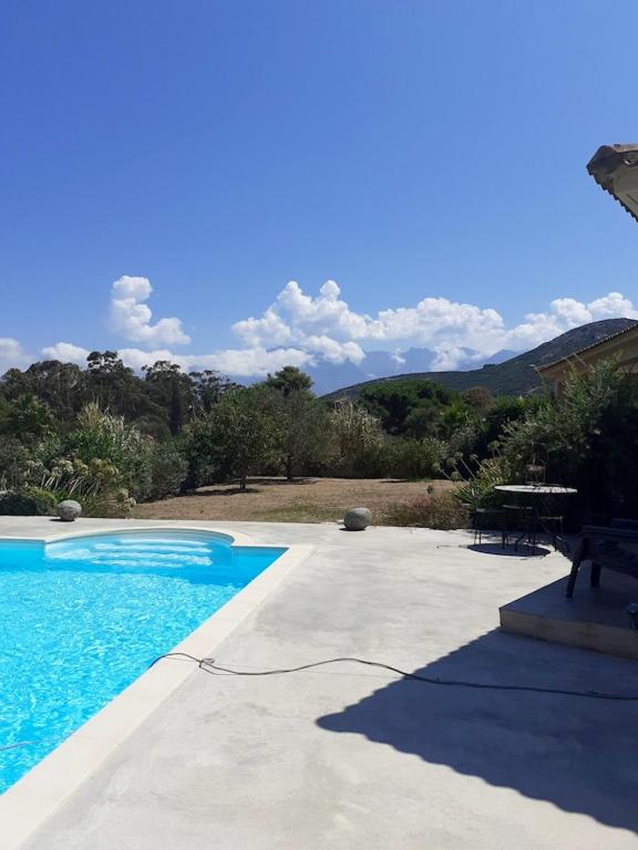 Villa de 3 chambres avec piscine privee jardin clos et wifi a Calvi