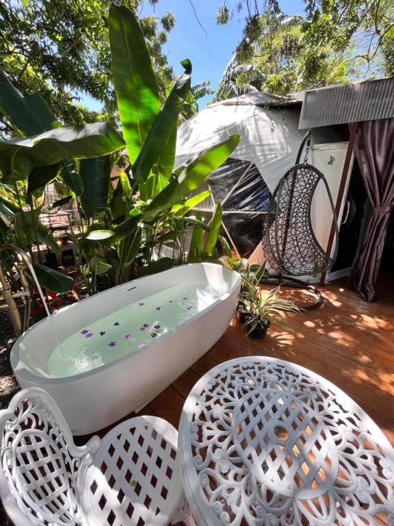 Zahrada ubytování Phuket Signature Glamping