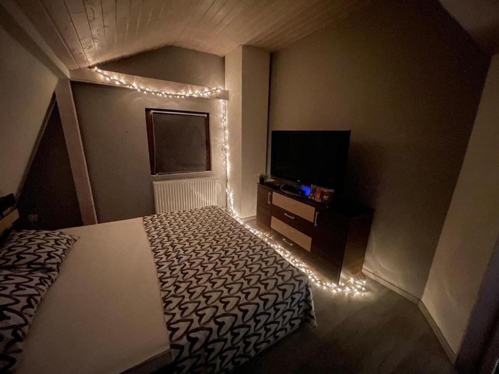 1 dormitorio con cama, TV y luces en Vila Enjoy, en Văliug