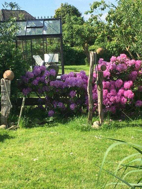 a garden with purple flowers and a gazebo at Minsener Warft in Wangerland
