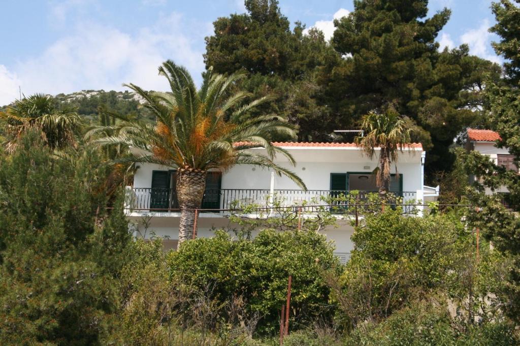 Fotografia z galérie ubytovania Apartments by the sea Zaostrog, Makarska - 10431 v Zaostrogu