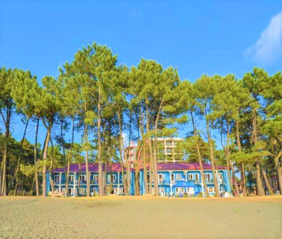 a building on the beach with trees in the background at EVRIKA hotel Shekvetili in Shekvetili
