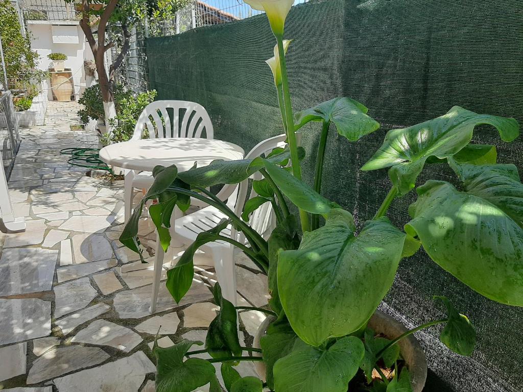 Zahrada ubytování Cozy flat in Nea Makri