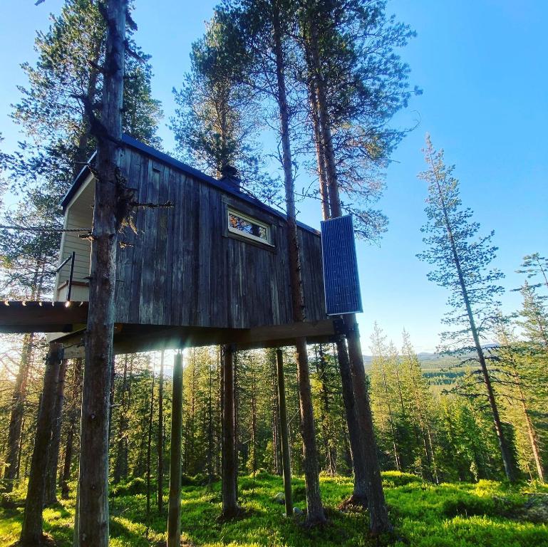 a tree house in the middle of a forest at Swedish Treehouse 
