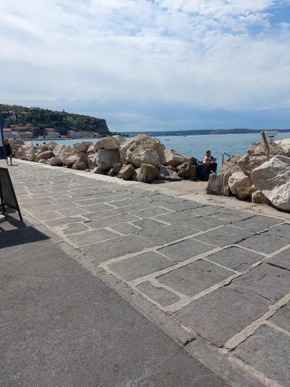 a person sitting on the rocks near the water at Apartma Romeo in Piran