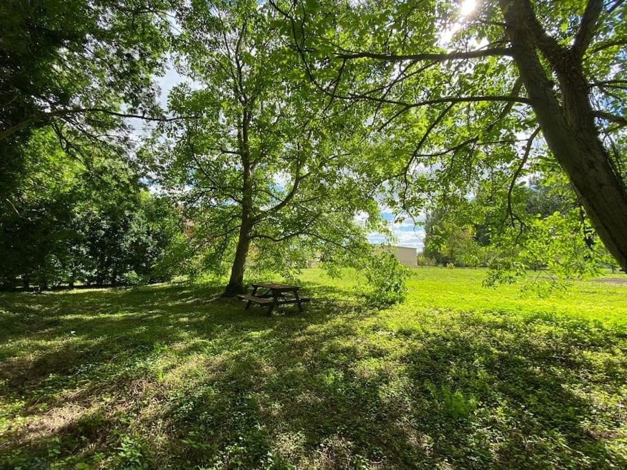 een picknicktafel onder een boom in een park bij La ferme Sainte-Damaris de la Maurienne 