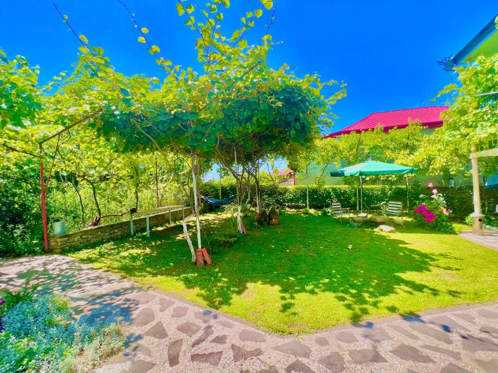 Jardí fora de Home Inn-Guesthouse