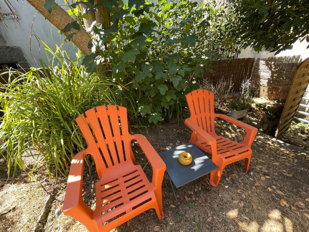 Ogród w obiekcie Le Patio, coeur de ville avec garage et jardin
