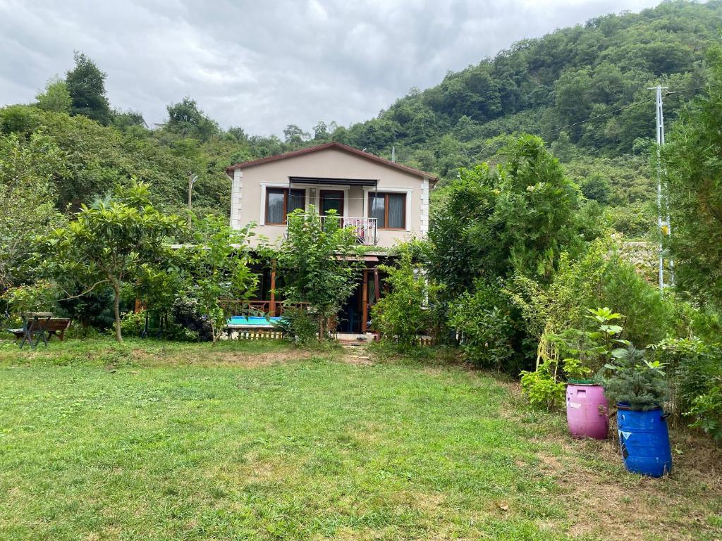 a small house in a yard with trees at Doğa villa in Yomra