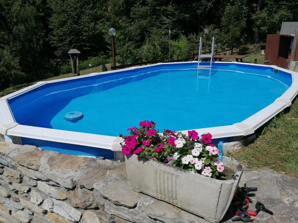 a large blue swimming pool with flowers in front of it at Chalet di Montagna in San Giuliano