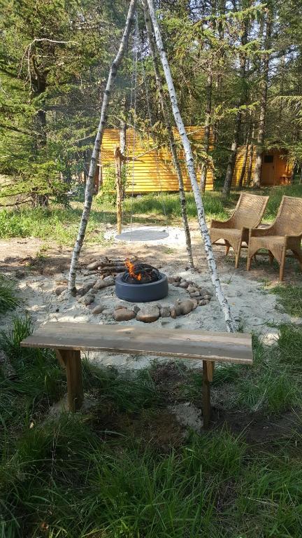 ognisko siedzące na ławce w parku w obiekcie Glamping Pod im Wald w mieście Nordholz