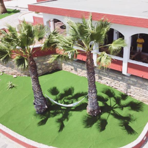 a group of palm trees in front of a building at Porto Santo Destination in Porto Santo