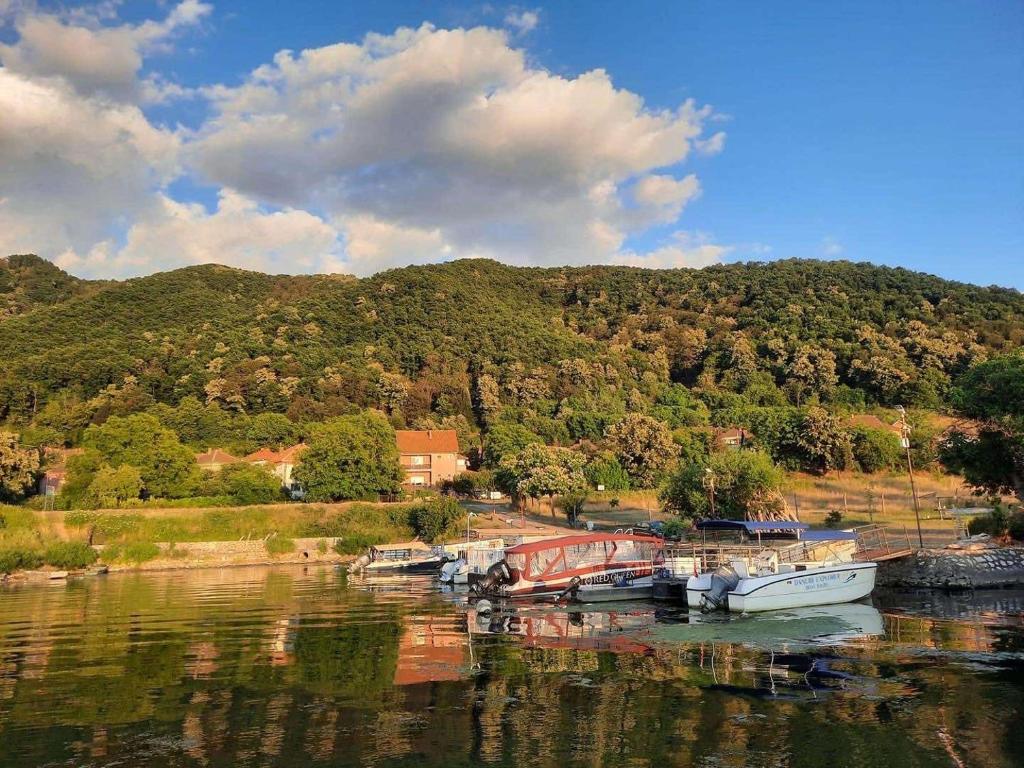 a group of boats docked at a dock on a lake at Smeštaj Zeka Tekija in Tekija