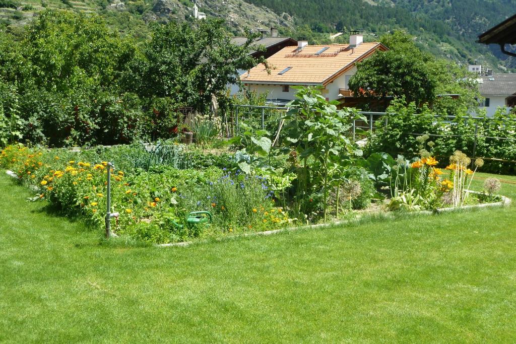 A garden outside Waalhof Ferienwohnung Apfelblüte
