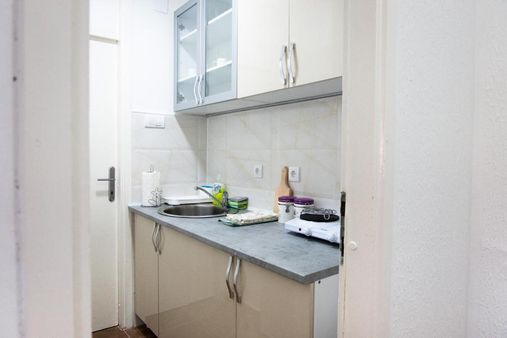 Kuchyň nebo kuchyňský kout v ubytování Apartman Janković