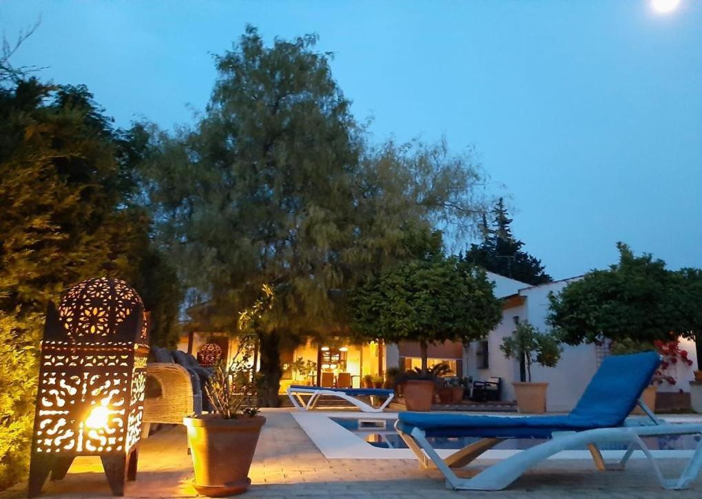 un par de sillas sentadas en un patio en B&B Casa Adelante Sevilla, en Espartinas