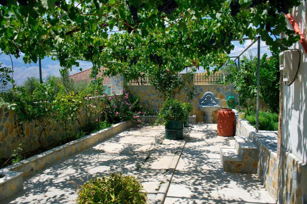 Giardino di VILA SHAMETAJ