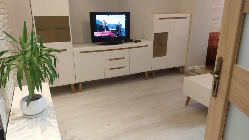 un salon avec une télévision et une plante en pot dans l'établissement Mieszkanie, à Kołobrzeg
