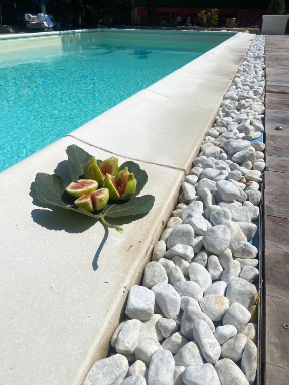 una planta al borde de una piscina en camera con giardino e piscina, en Scafati