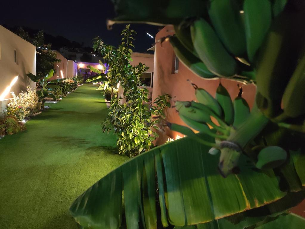 Modular Bungalows With Heated Pool Artemis Greece - 3