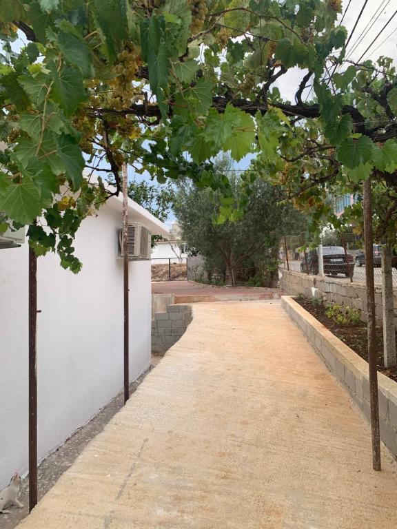 a road with trees and a white wall at Loft Apartments in Sarandë