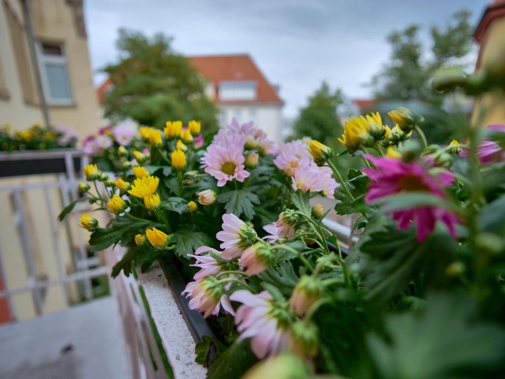 Apartment OTTO I - Erfurt Zentrum - 18