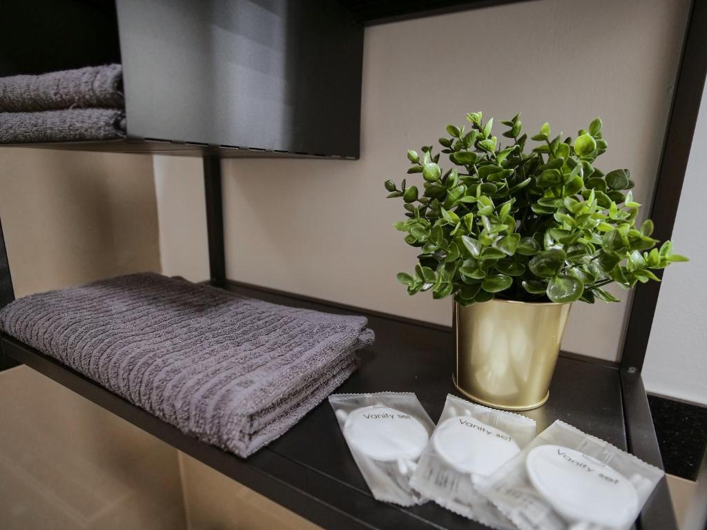 Apartment OTTO I - Erfurt Zentrum - 15