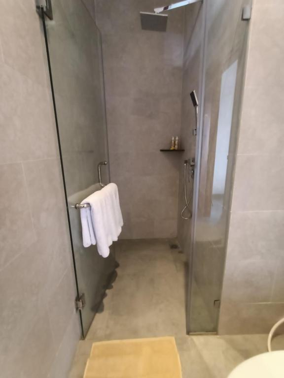 a bathroom with a shower with a glass door at The Kd Suites & Coffee Shop in Munggu