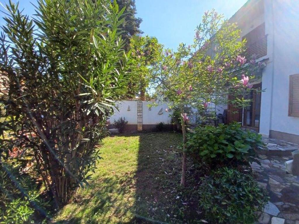 Zahrada ubytování Apartments by the sea Novigrad - 7335