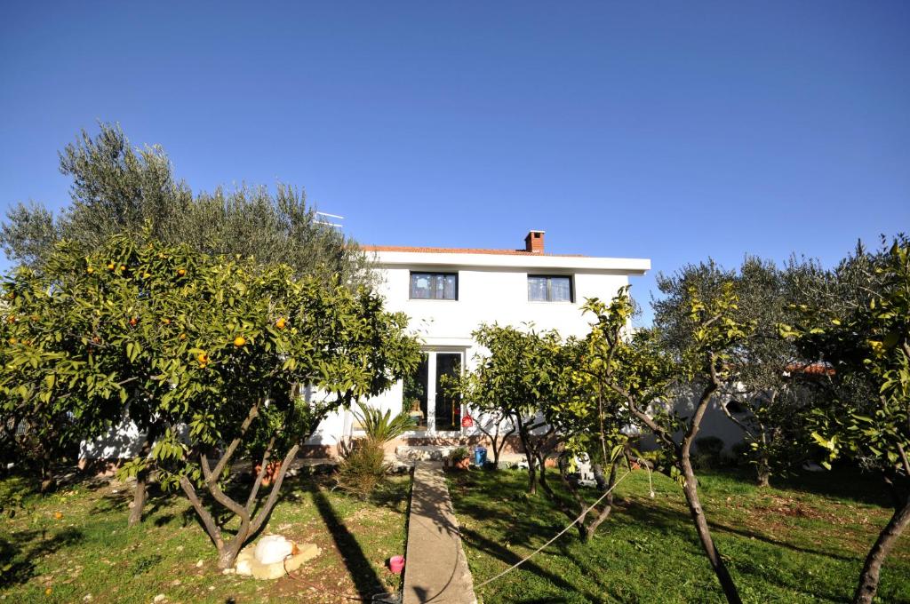 Zahrada ubytování Apartments by the sea Arbanija, Ciovo - 11592