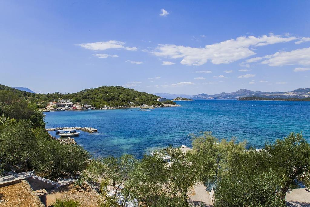 Príroda v okolí apartmánu