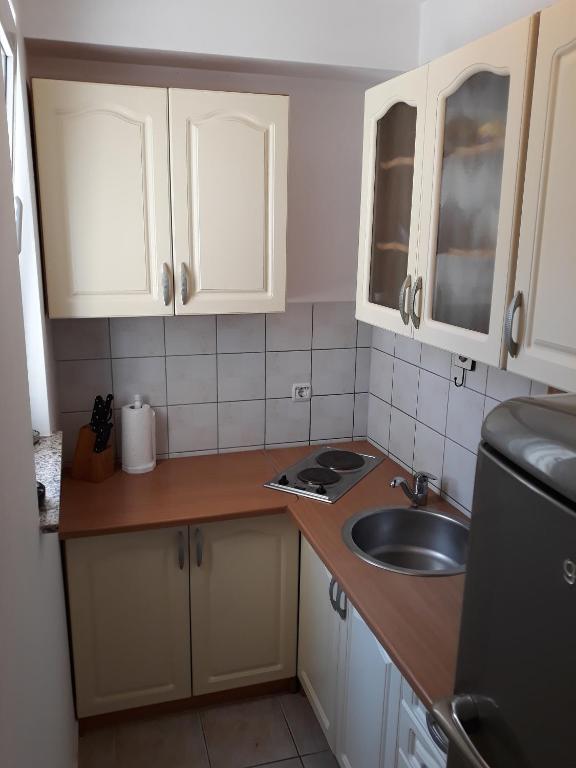 Kuchyň nebo kuchyňský kout v ubytování Apartments by the sea Povljana, Pag - 14101
